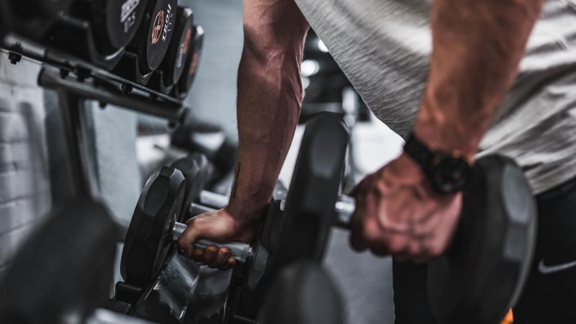 Les exercices les plus efficaces en musculation