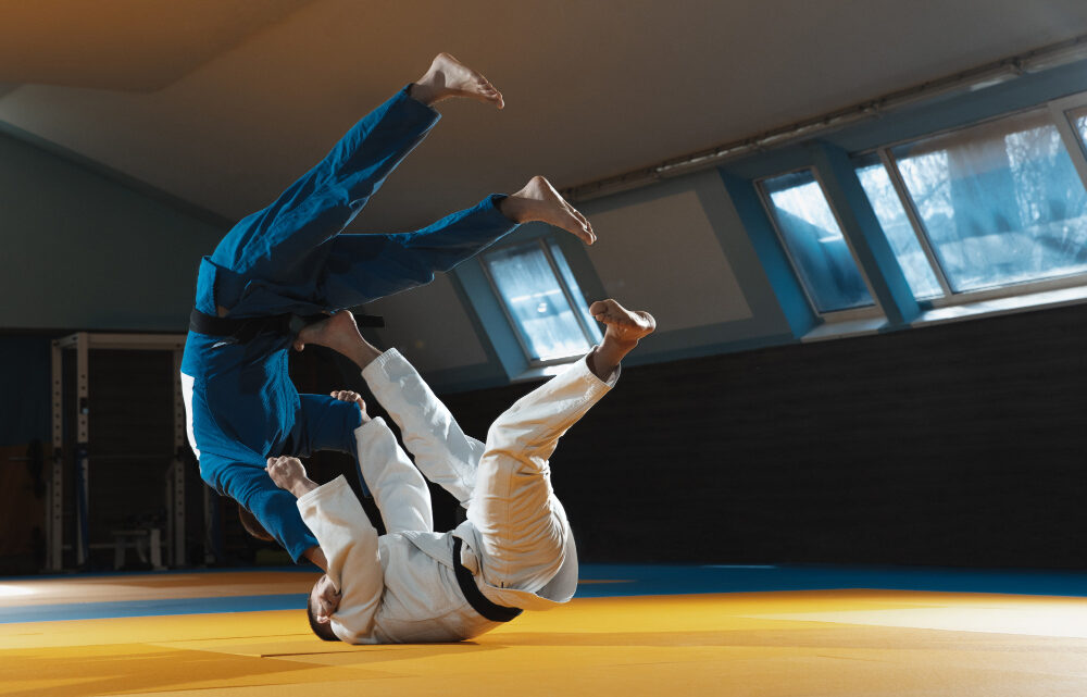 Championnats du Monde de judo 1997 : Victoires mémorables des judokas français