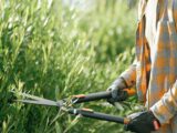 découvrez nos compléments alimentaires spécifiques pour la perte de poids et la définition musculaire. optimisez votre sèche avec des produits efficaces et naturels.